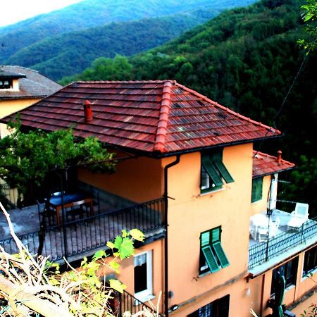 Fontana'S House Relax Konuk evi Valbravenna Dış mekan fotoğraf